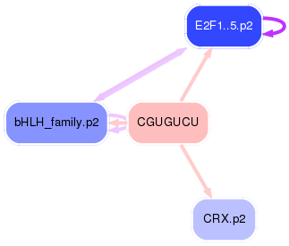 PNG image of the network