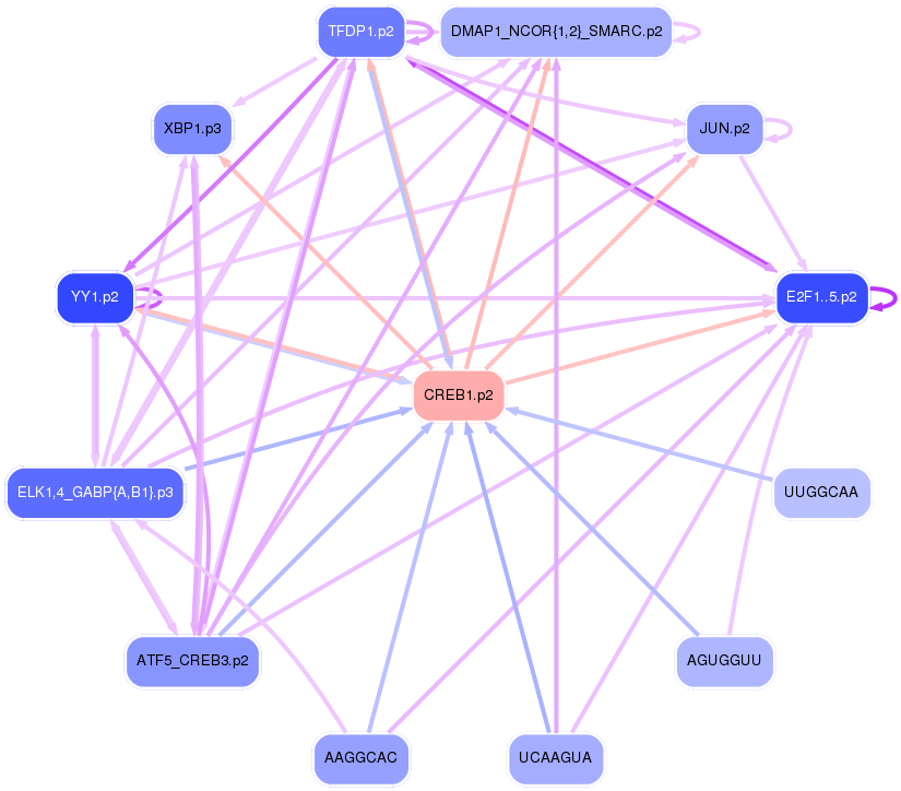 PNG image of the network