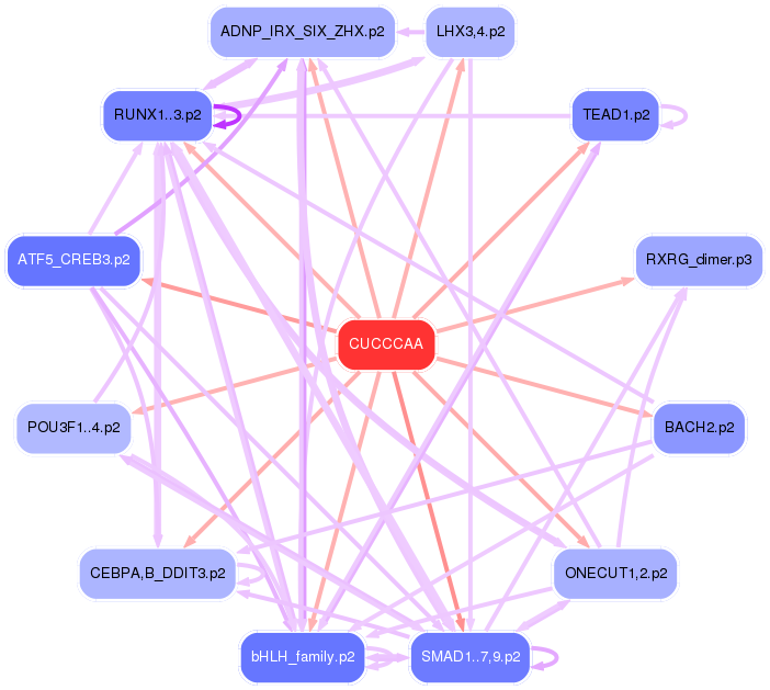 PNG image of the network
