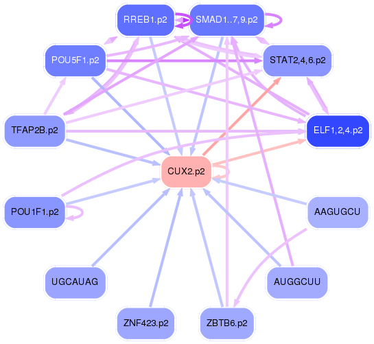 PNG image of the network