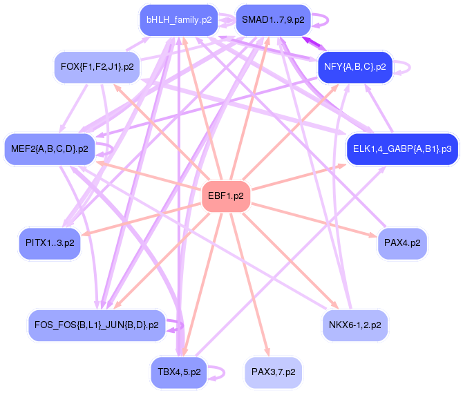 PNG image of the network