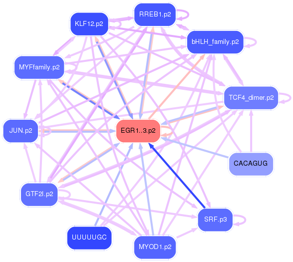 PNG image of the network