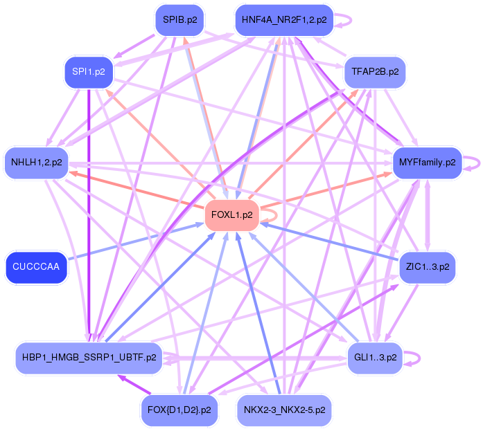 PNG image of the network