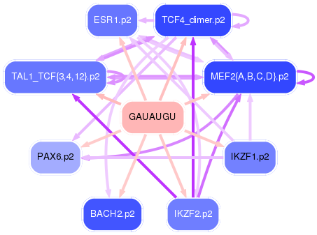 PNG image of the network