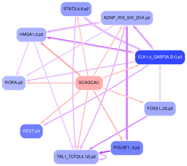 PNG image of the network