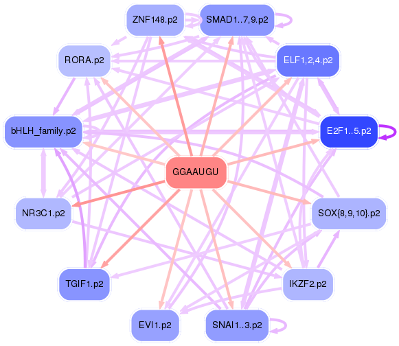 PNG image of the network