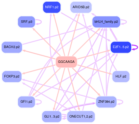 PNG image of the network