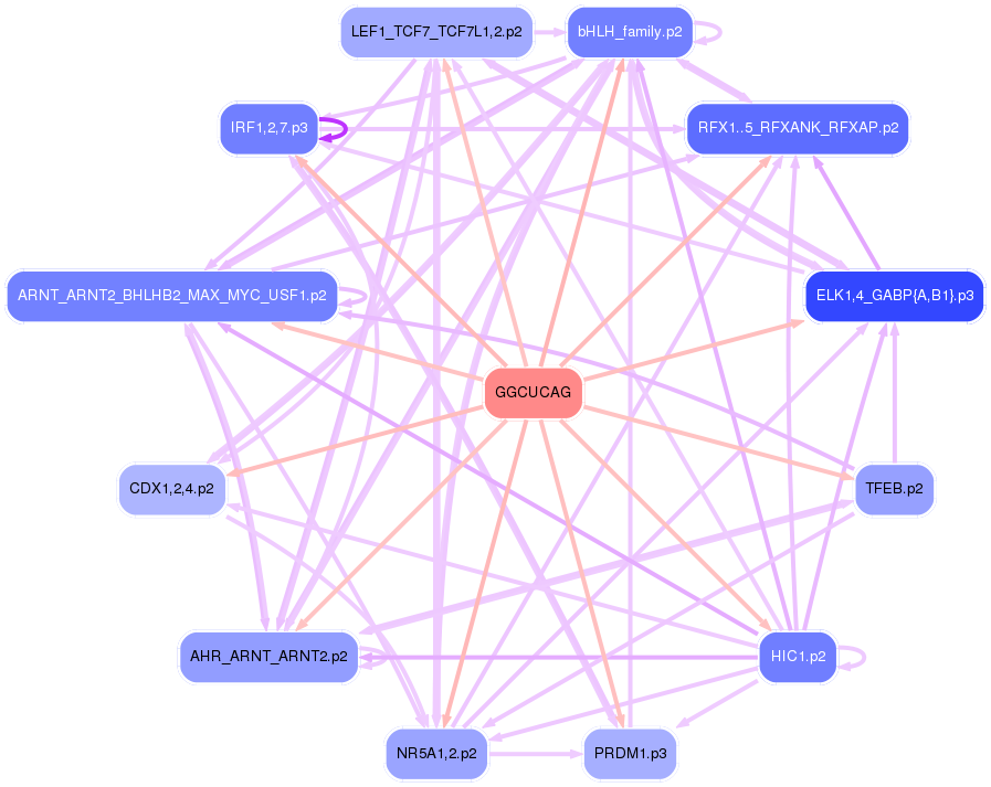 PNG image of the network
