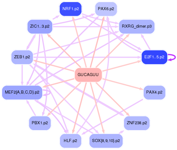 PNG image of the network