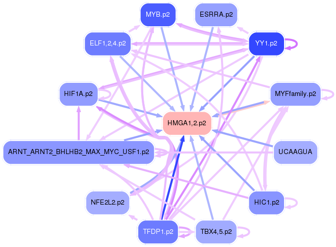 PNG image of the network