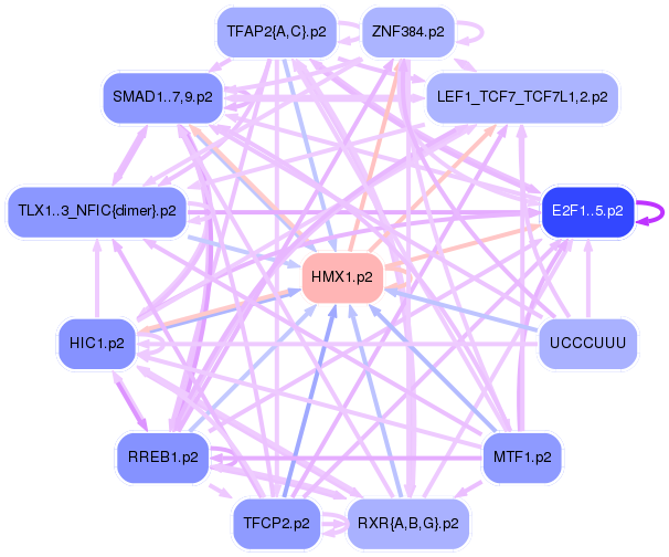 PNG image of the network