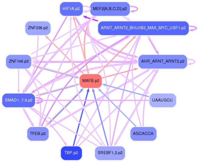 PNG image of the network