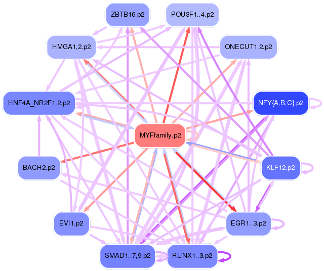 PNG image of the network