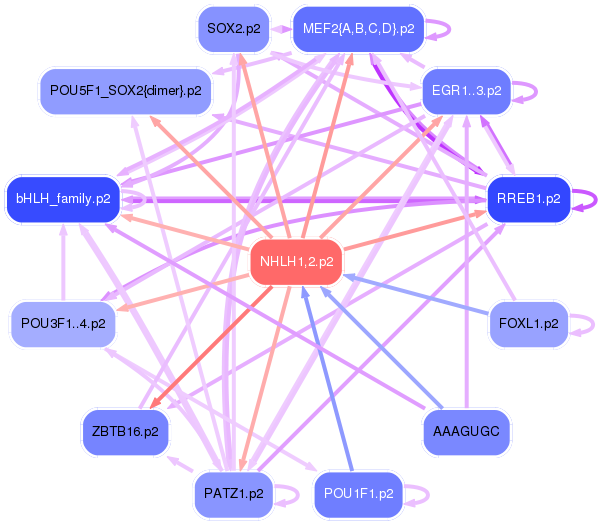 PNG image of the network