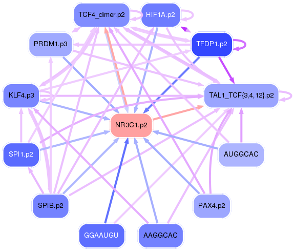 PNG image of the network