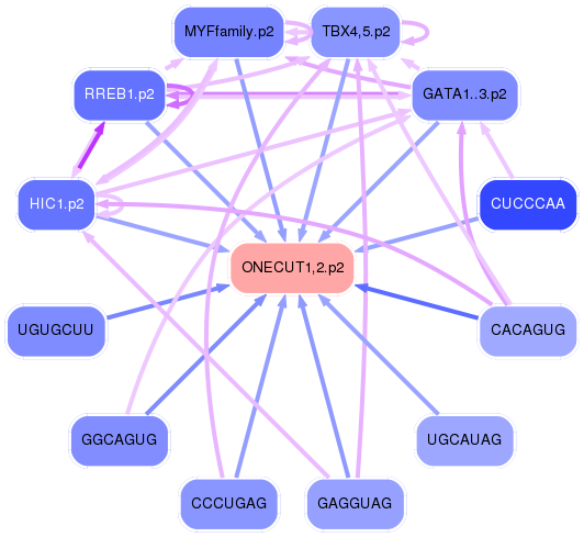 PNG image of the network