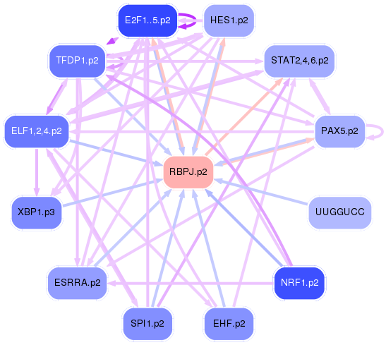 PNG image of the network