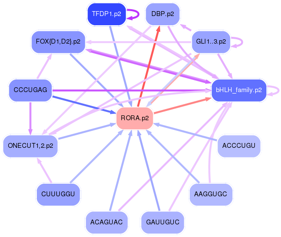 PNG image of the network