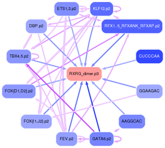 PNG image of the network