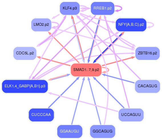 PNG image of the network