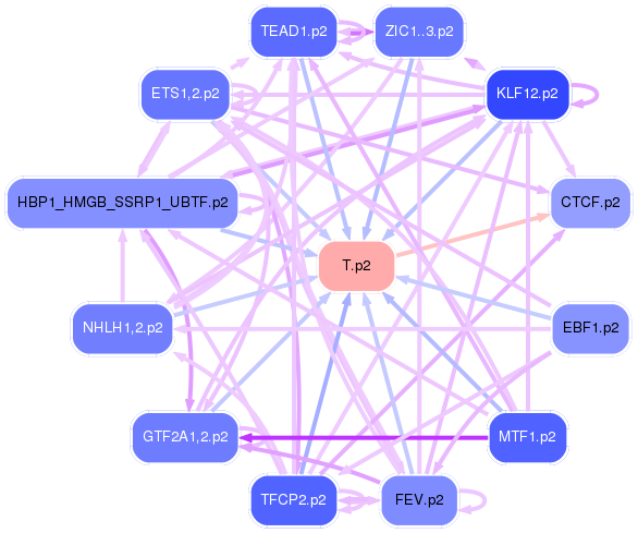 PNG image of the network