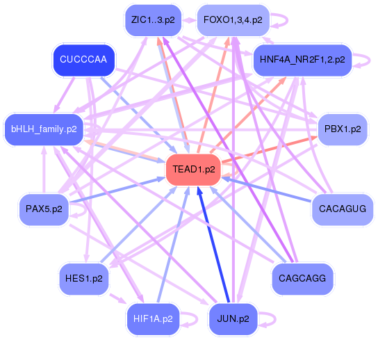 PNG image of the network