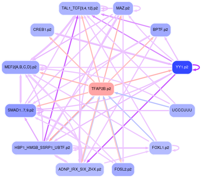PNG image of the network