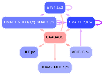 PNG image of the network