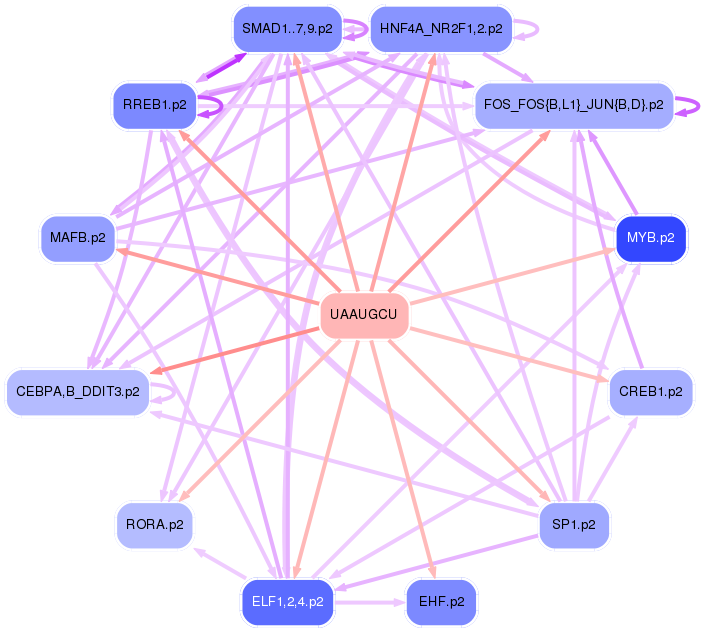 PNG image of the network