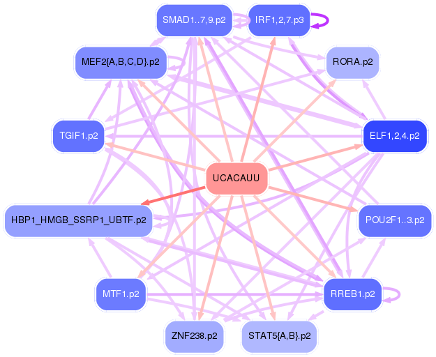 PNG image of the network