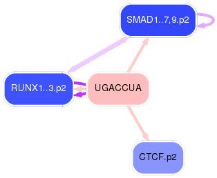 PNG image of the network