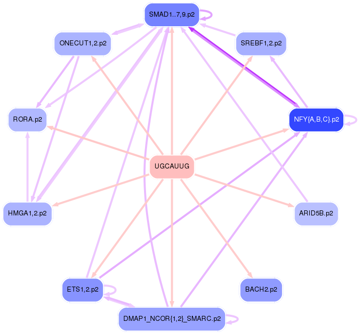 PNG image of the network