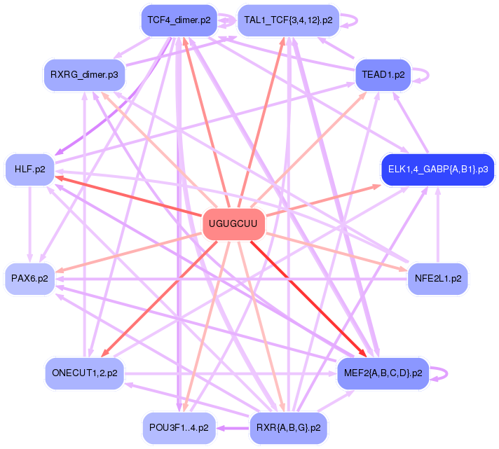 PNG image of the network