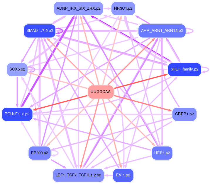 PNG image of the network