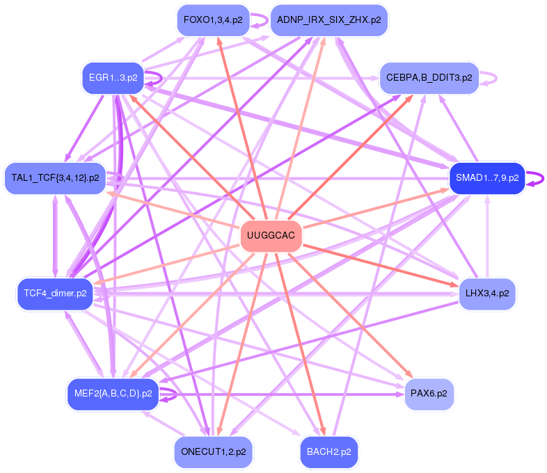 PNG image of the network