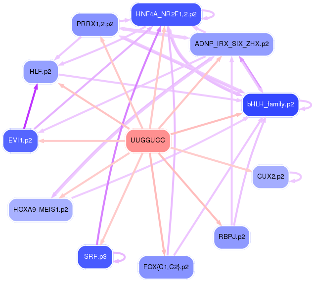 PNG image of the network