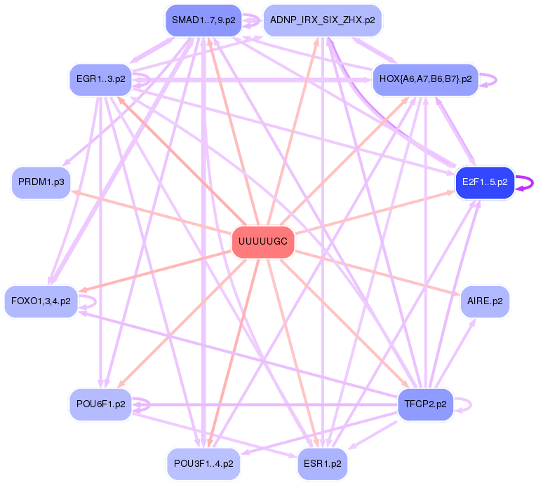 PNG image of the network