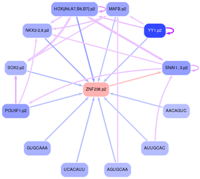 PNG image of the network