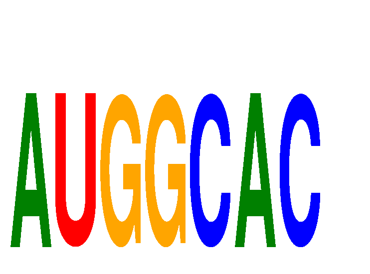 SeqLogo of AUGGCAC