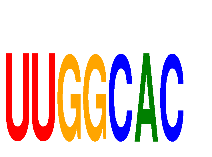 SeqLogo of UUGGCAC