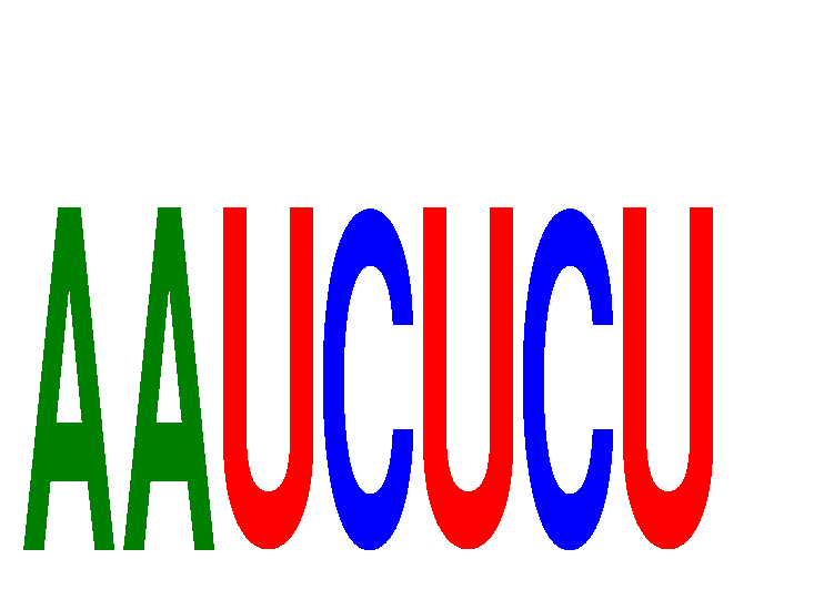 SeqLogo of AAUCUCU