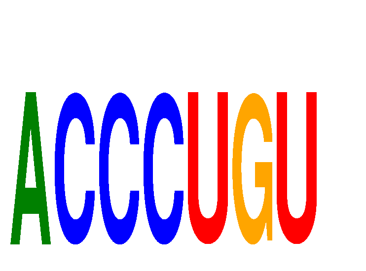 SeqLogo of ACCCUGU