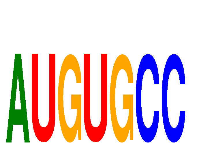 SeqLogo of AUGUGCC