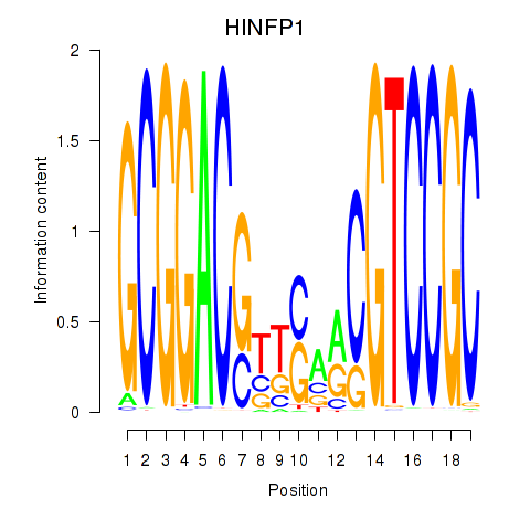 SeqLogo of HINFP1