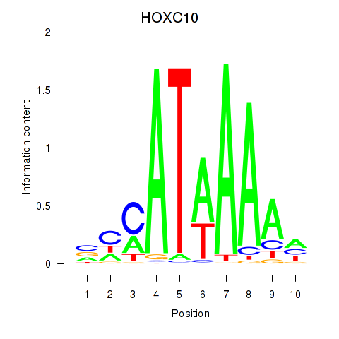SeqLogo of HOXC10_HOXD13