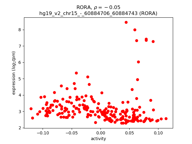RORA Gene - GeneCards, RORA Protein