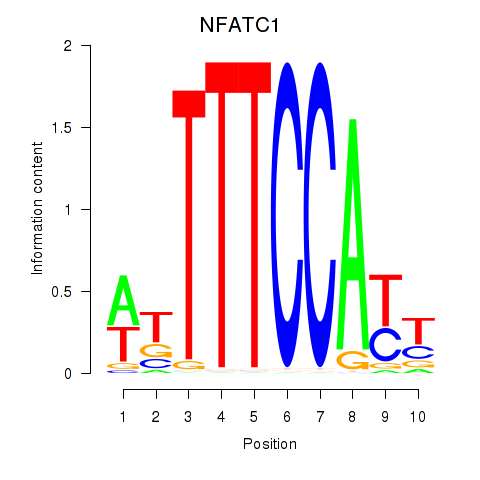 SeqLogo of NFATC1