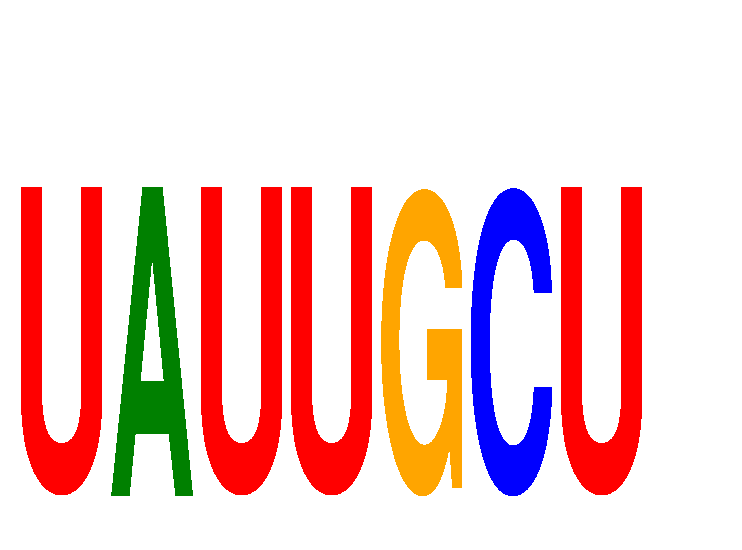 SeqLogo of UAUUGCU