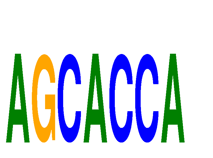 SeqLogo of AGCACCA