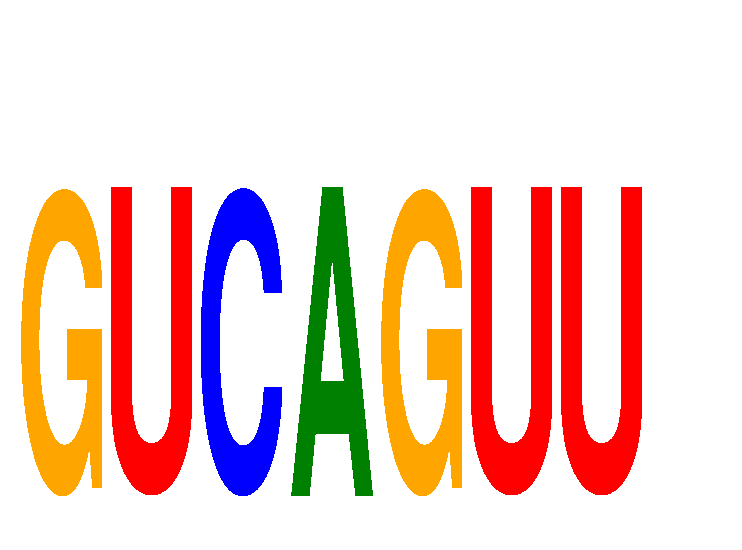 SeqLogo of GUCAGUU